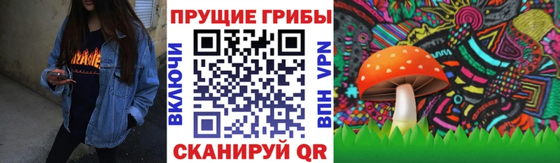 Галлюциногенные грибы Magic Shrooms  Купить где  Боровичи 